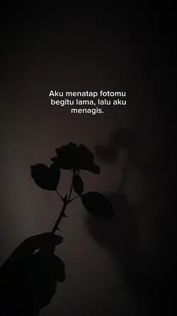 Story WA