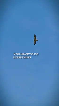zooms and motivate 2