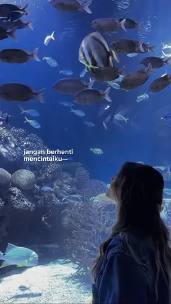 jangan berhenti