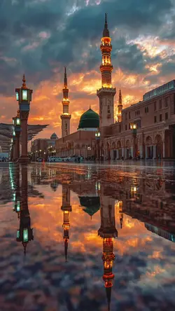 Qolbi Fil Madinah