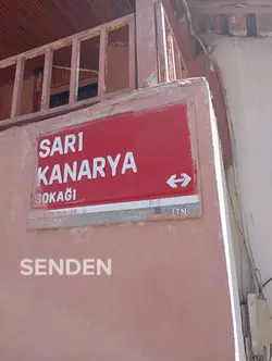 sorma durum leyla