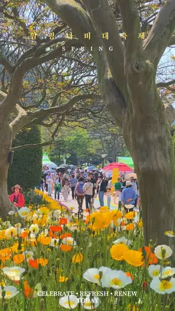 Spring Day 