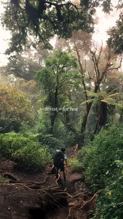 Video alam Pendaki