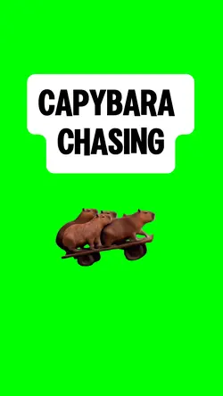 CAPYBARA SQUAD