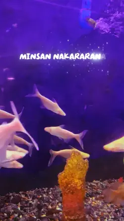 Diskarte 