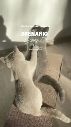 skenario