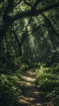 forest