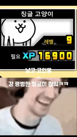 징글고양이를 아는사람