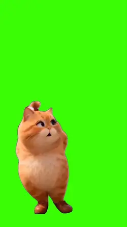 Cat/Gato