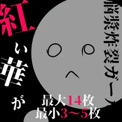 脳漿炸裂ガール _