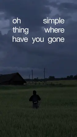 Lyrics edit 💎