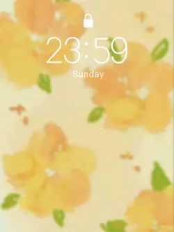 LOCK SCREEN