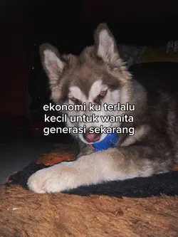 story wa