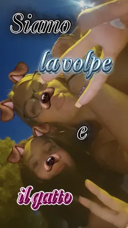 gatto e volpe !