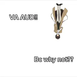 VA aud
