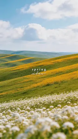 spring vibes
