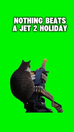 Jet 2 Holiday Cat 