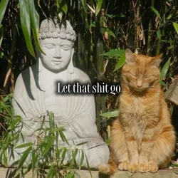 let that shit go