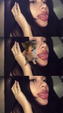 kicau mania