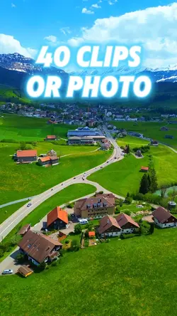 40 clips or photo 