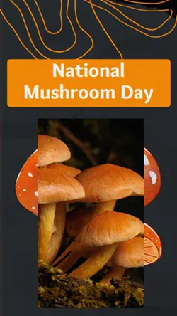 Mushroom Day
