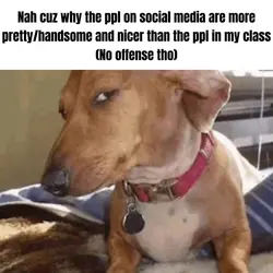 WHY-