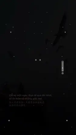A y mạc remix