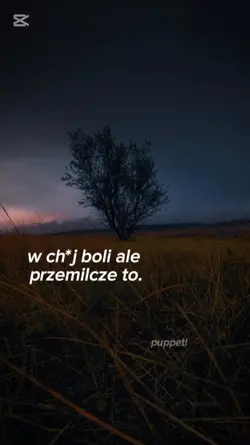 boli.