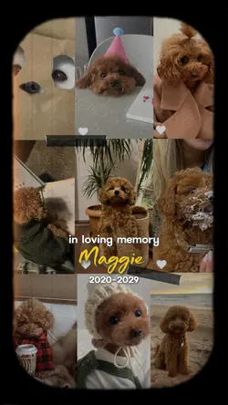 in loving memory