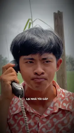 Gom hết tất cả anh 
