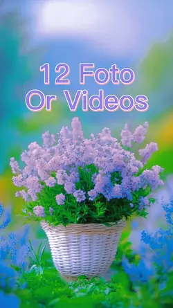 12 Foto Slide