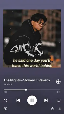 The night 