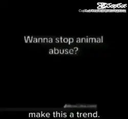 Animal abuse😞