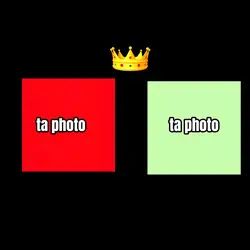 le roi