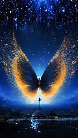 Star Wings