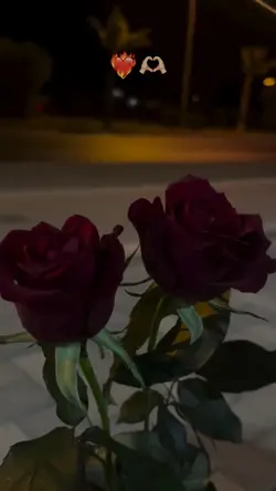 Yeni şablon