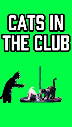 CATS IN THE CLUB