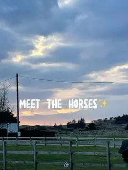 Horses
