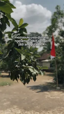 jadi Anggota DPR