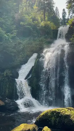 aesthetic slowmo