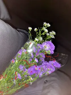 fotolive flower
