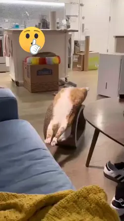 Zzz zzz zzz 