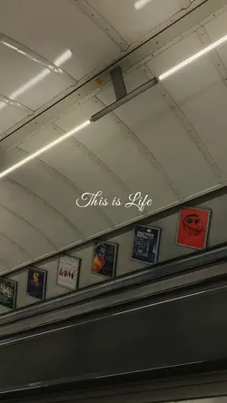 This is life