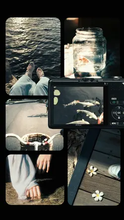 6 frame