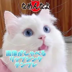 舐なめ猫リップシンクテンプレ