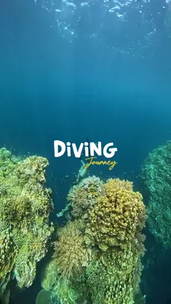 Diving Journey