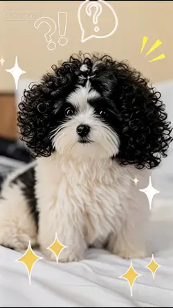 Perm Curls