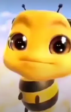 Xd