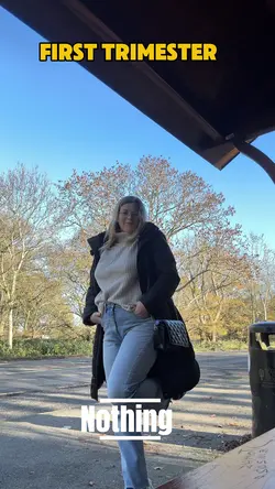 Pregnancy journey 