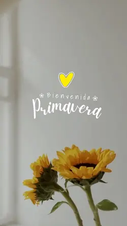 Primavera✨☀️🪽